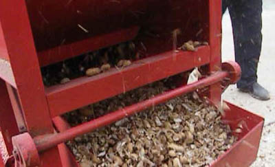 Peanut Shelling Machine