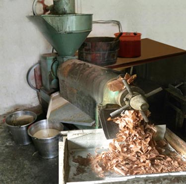 Peanut oil press