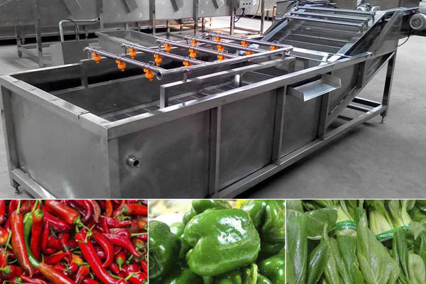 Vegetable washing machine