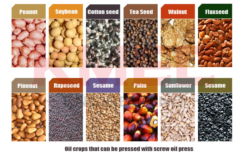 Oil crops that can be pressed with oil press