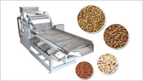 Peanut cutting machine