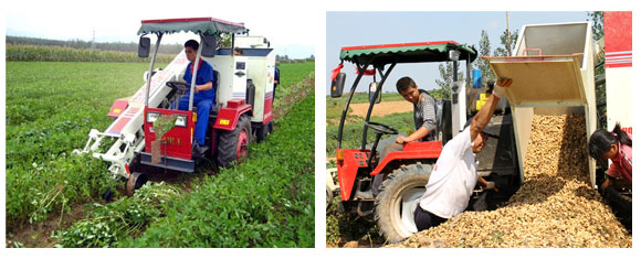 Peanut harvest machine