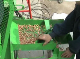 Video of Peanut Shelling Machine-IV