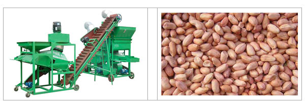 Peanut Sheller