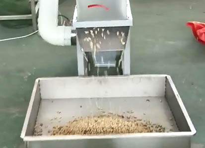 Dry Type Peanut Peeling Machine