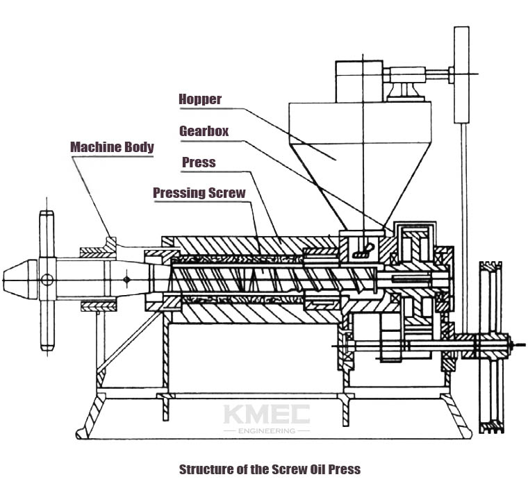 Structure of the Screw Oil Press