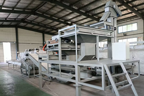 Almond Shelling Production Line