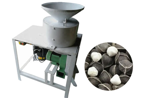 Moringa Seed Shelling Machine