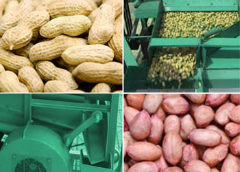 Structures of peanut shelling machine