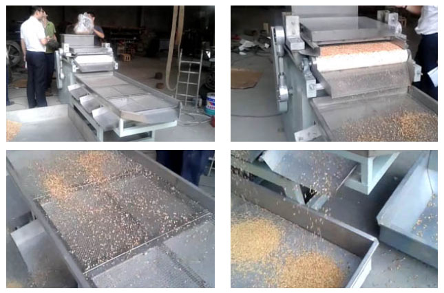 Peanut Slicer, Almond Slicer, Nut Slicing Machine for SalePeanut