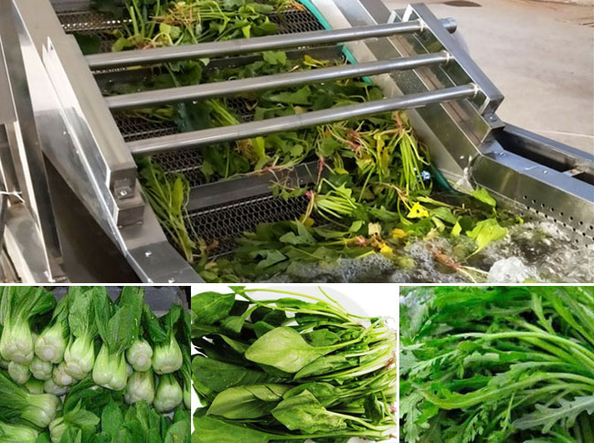 vegetable washing machine