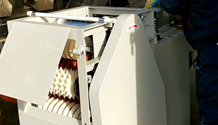 Wet type peanut peeling machine