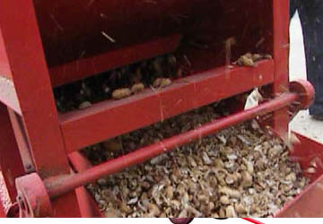 peanut shelling machine