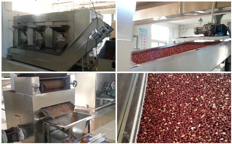 peanut roasting production line