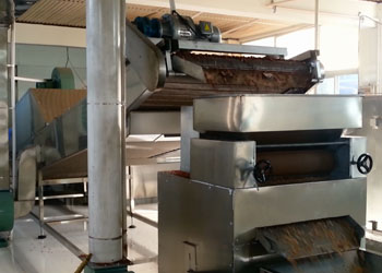 Yunting peanut roasting production line