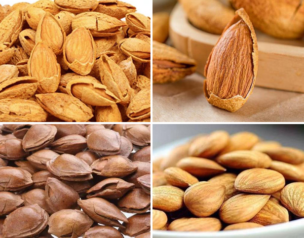 Badam and almonds