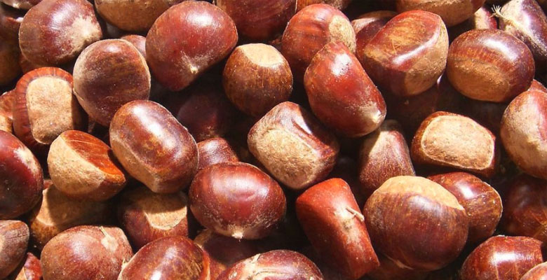 Chestnuts