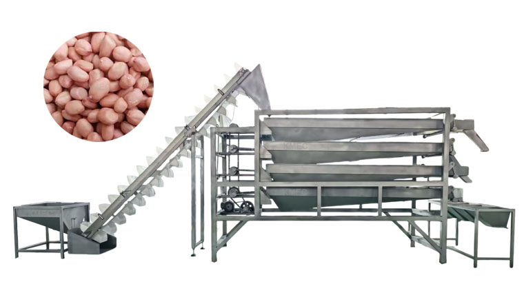 Peanut sieving machine