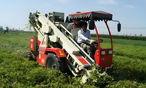 Peanut combine harvester