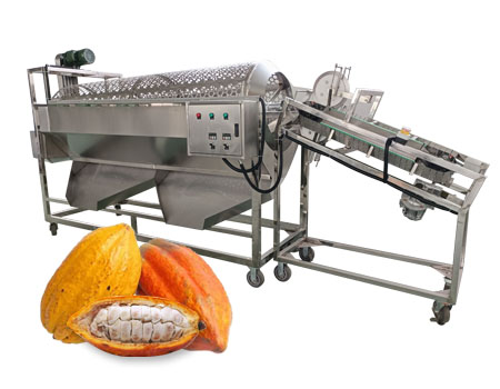 How is the raw material for cocoa beans processed?